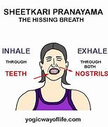 Image result for Sheetkari Pranayama