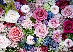 Image result for Flowes Bink