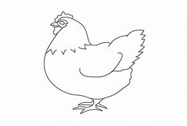 Image result for Chicken Drawing Jpg