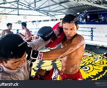 Image result for Muay Thai Sweden