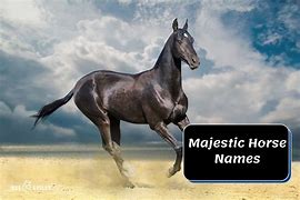 Image result for Majestic Horse Names