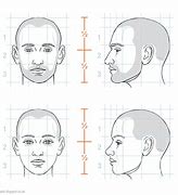 Image result for Human Head Proportions Drawing