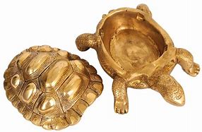 Image result for Box Tortoise