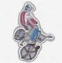 Image result for Avent BMX Logo