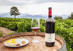 Image result for Sicilian Wine