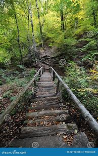 Image result for Wood Stairs Vertical