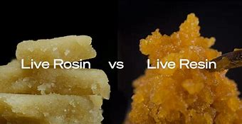 Image result for Rosin vs Resin