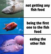 Image result for Fish Reaction Meme