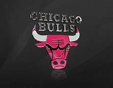 Image result for Bulls Football Logo