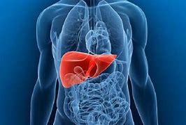 Image result for Swelling of Liver