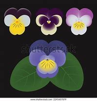 Image result for African Violet Flower Clip Art