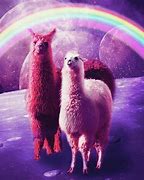 Image result for Classic Llama