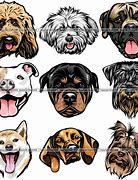 Image result for Dog Breed Faces