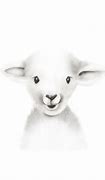 Image result for Baby Lamb Doodle