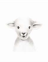 Image result for Baby Lamb Sketches