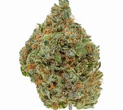 Image result for OG Kush Indica