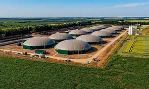 Image result for Picture of Biomass Energy Plant to Grid