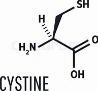 Image result for Cysteine