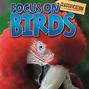 Image result for Birds for Kids