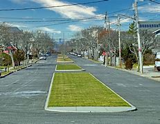 Image result for Street Dividerss