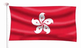 Image result for Hong Kong Balck Flag