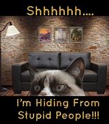 Image result for Hiding Meme