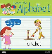 Image result for Cricket Flashcard