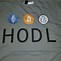 Image result for Hodl Meme