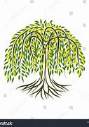 Image result for 1 Willow Tree