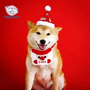 Image result for Plush Aurora Dog with Christmas Hat