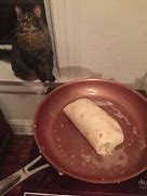 Image result for Burrito Love Cat