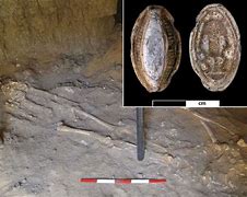 Image result for Oldest Human Skeleton Found