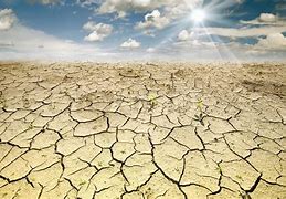 Image result for Dry Desert Land