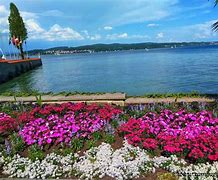 Image result for Mainau Island Park