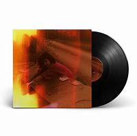 Image result for Cleo Sol Vinyl