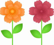 Image result for Flower Diagram Clip Art