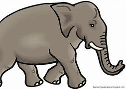 Image result for Ellie Elephant Clip Art