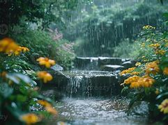 Image result for Pic of Rain