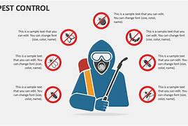 Image result for Pest Control Company