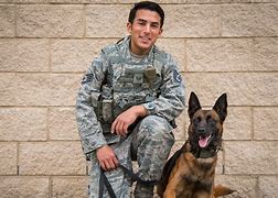 Image result for United States Air Force K9