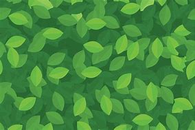 Image result for Green Leaves Pattern