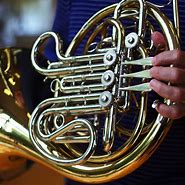 Image result for French Horn Bell