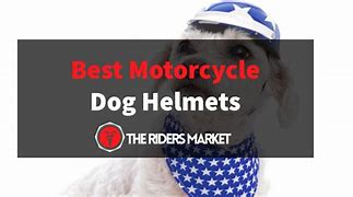 Image result for dog motorcycle helmet safety