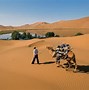 Image result for Gobi Desert Movie