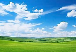 Image result for Blue Sky Field