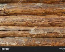 Image result for Wood Wall Texture Log