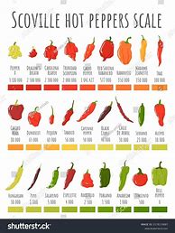 Image result for Scala Scoville