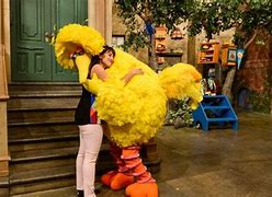 Image result for Sesame Street Hug