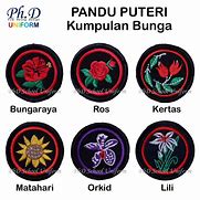 Image result for Bunga Serendipiti