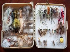 Image result for Fishing Bait and Tackle